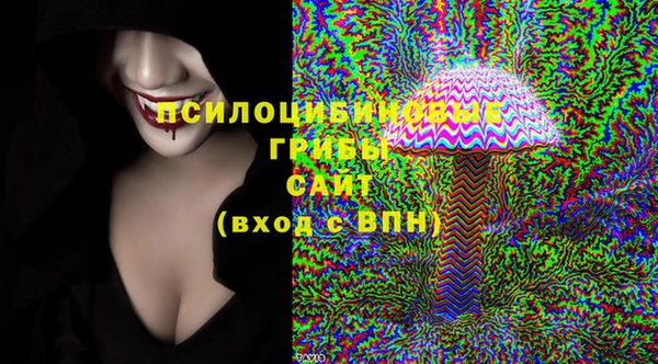 PSILOCYBIN Балабаново