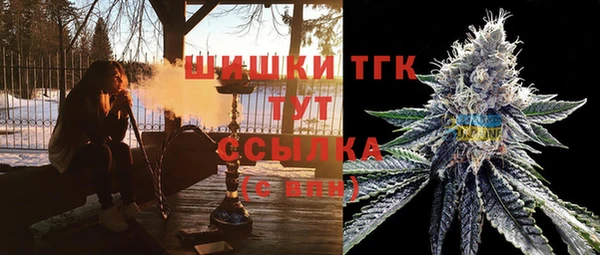 PSILOCYBIN Балабаново