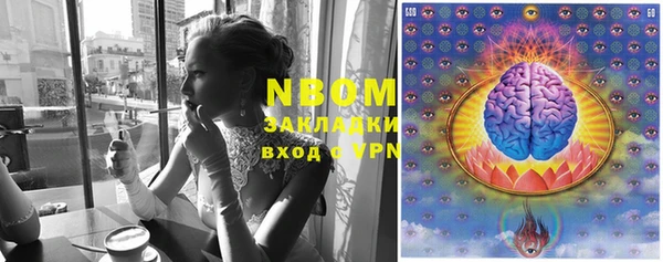 прущие грибы Бородино